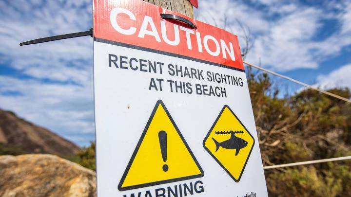 Yanchep Lagoon & Floreat Beach: Popular WA beaches shut to public after several sharks spotted off the coast