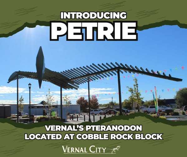 ‘Petrie The Pteranodon’ At Home On Cobble Rock Block