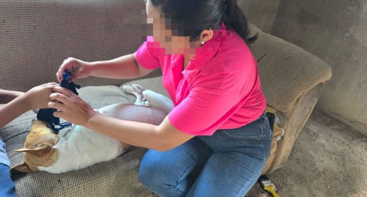 Hombre dispara contra perrita en Montemorelos