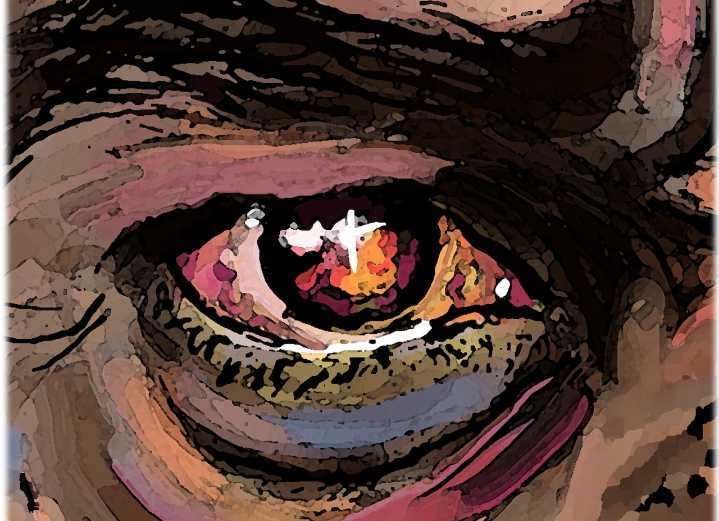 Every day is Veterans Day. America is great because of our veterans. Period.