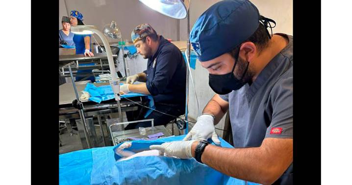 Habrá campaña gratuita de esterilización de mascotas durtante este fin de semana