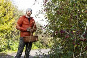 Forager saves hundreds on groceries by picking food in local park
