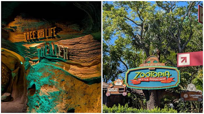 FIRST LOOK: Zootopia show brings new life to Disney’s Animal Kingdom