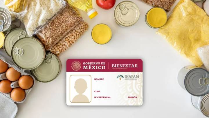 ¿Cómo obtener la despensa del INAPAM en 2025?