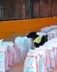 Histórico golpe al narcotráfico en Colombia con decomiso de 14 toneladas de cocaína