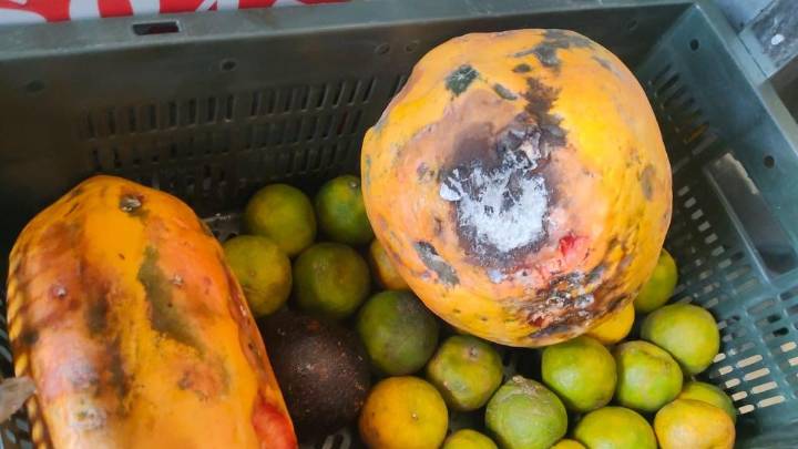 Telangana Food Safety department cracks down on food outlets