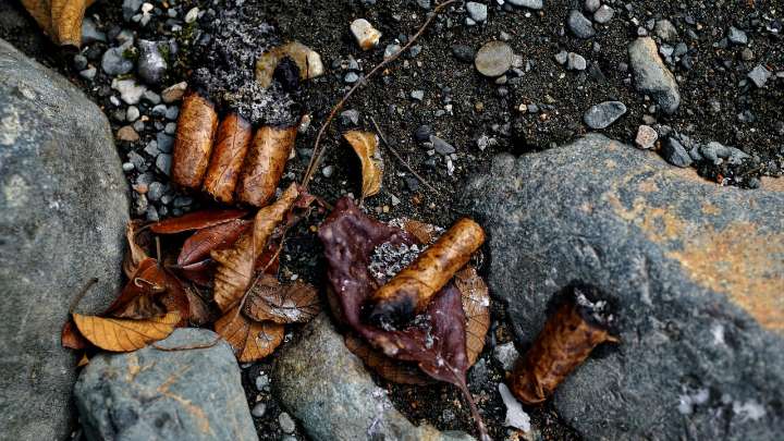 Río Pance: entre rituales de fe y el rastro de la brujería