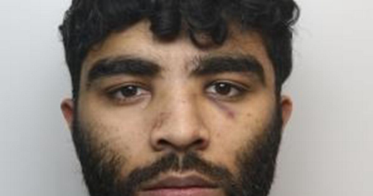 Driver who killed 'Good Samaritan' as he ploughed into wedding brawl crowd jailed for life