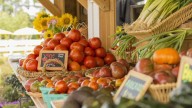 SNAP sales down at Mass. farmers markets since Nov. 1