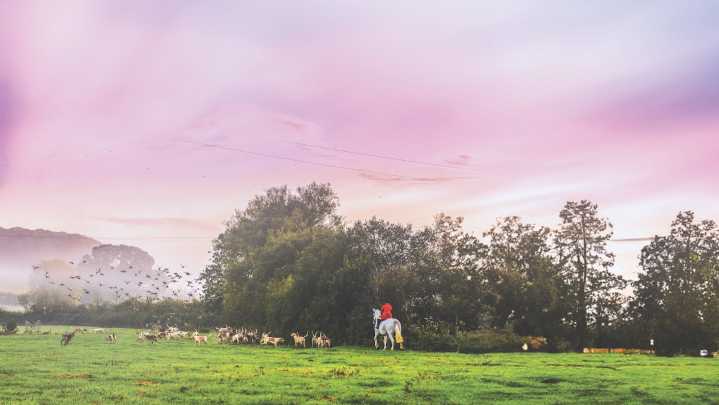 Government ‘fires the starting gun’ on plans to ban trail