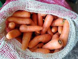 La comercialización de la zanahoria será por bultos de 50 kg a partir de este 12 de diciembre