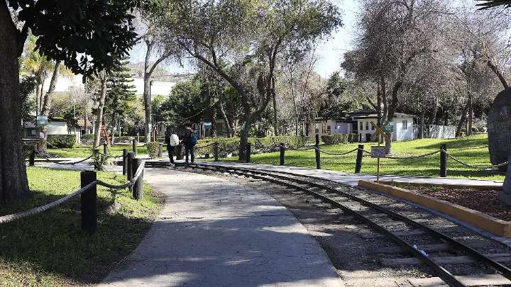 Recolectan 6 toneladas de basura semanalmente en el Parque Morelos