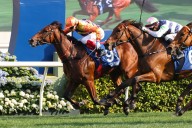 Cap Ferrat can beat the Lot in Group Three Sa Sa Ladies’ Purse