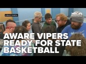 Anaconda AWARE Vipers ready for state basketball