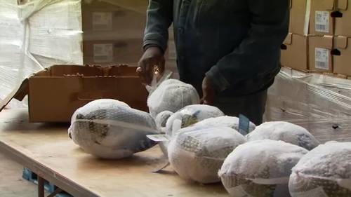 Hundreds given free holiday food ahead of Thanksgiving in Merced