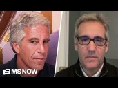 Michael Cohen urges Congress to release Epstein files so Epstein’s ‘entire network is fully exposed’