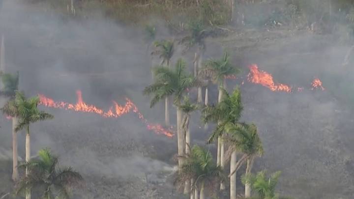 Crews battling brush fire in SW Miami-Dade – NBC 6 South Florida