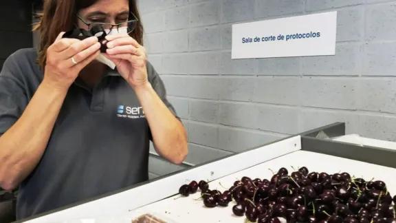 SENASA abrió la inscripción a los programas de exportación de fruta fresca desde Río Negro y Neuquén