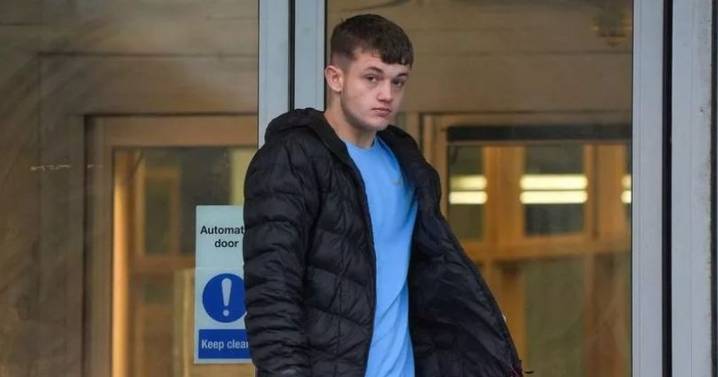 Arrest warrant issued for teen guilty of sex act with rocking horse and branch in play area