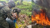 Golpe contundente contra las estructuras criminales en Nariño: Ejército Nacional destruyó 10 laboratorios para el procesamiento de coca en noviembre