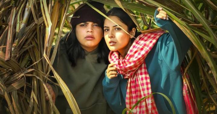 Ikk Kudi Box Office Collection Day 23: With 60% Jump, Shehnaaz Gill’s Film Is Now #6 Punjabi Grosser Of 2025!
