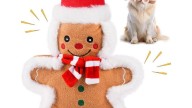 Apparently It’s Puppy Cuffing Season: One Dog Has a ‘Gingerbread Boyfriend,’ Thanks to This $8 Toy