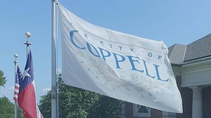 Up to 13 feral hogs sighted again in neighborhood tucked along Irving and Coppell