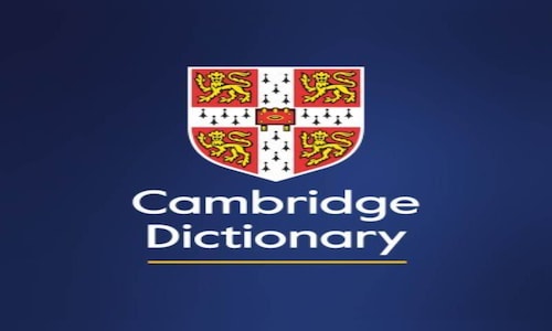 Parasocial is Cambridge dictionary's Word of the Year 2025; delulu, slop among new entrants