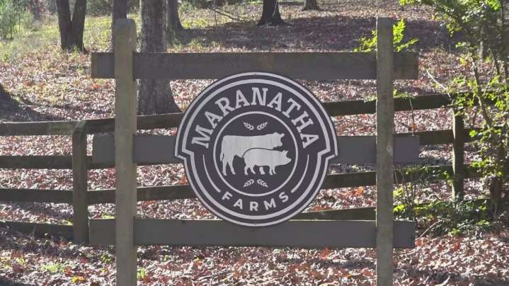 Beyond the Thanksgiving table: Farmers carry weight of holiday season