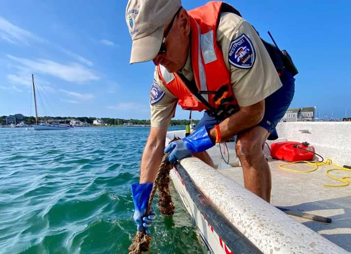 Westport OKs mooring permit moratorium