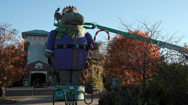 Cincinnati Zoo installs giant Fiona nutcracker to kick off holidays