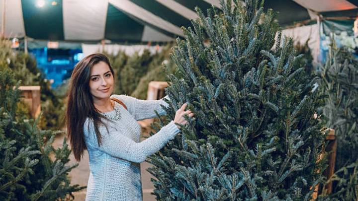 Cómo tener un árbol de Navidad natural: 5 claves para evitar que la planta se marchite en pocas semanas