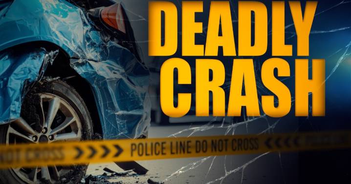 One killed in Saturday night Woodlawn collision