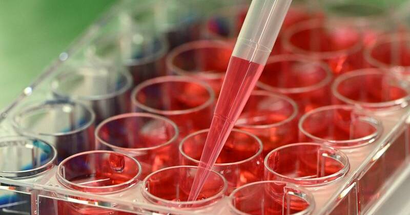 Research fund gap risks pandemic and biothreat defences