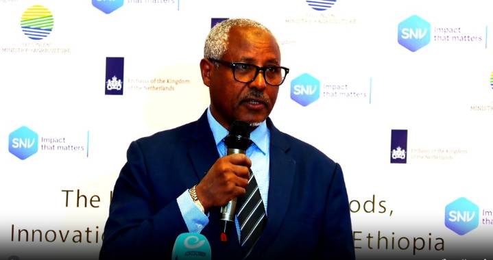 Escuelas de Campo para Agricultores incrementó producción en Etiopía