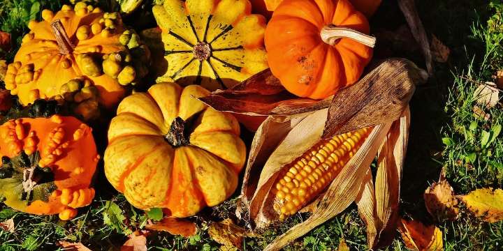 Was the first Thanksgiving in Virginia?