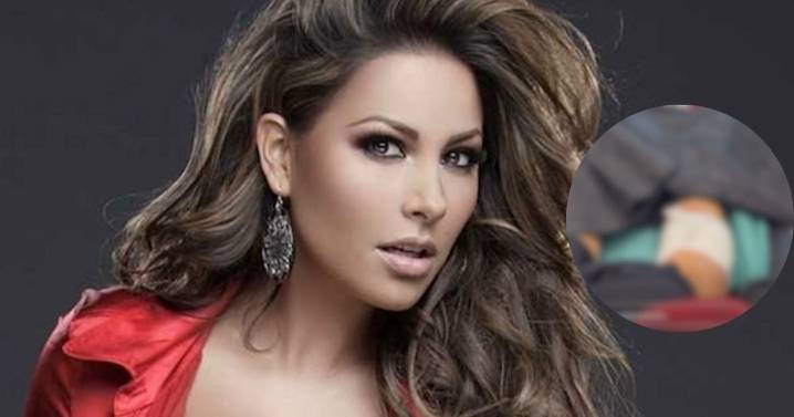 Famosa conductora de Televisa fue mordida por un perro bulldog y le destrozó la pierna; imágenes sensibles