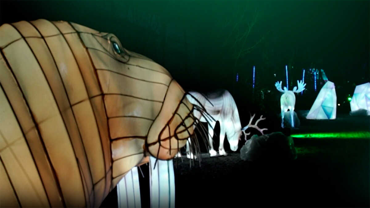 "Boreal", el nuevo espectáculo que releva a Luzir en el Parque Grande esta Navidad: precio y horario