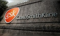 GSK Pharma Q2 net profit up 2% despite dip in revenue; Oncology off to strong start