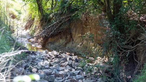 New Wake County study aims to restore health of stream at NC State Farmers Market