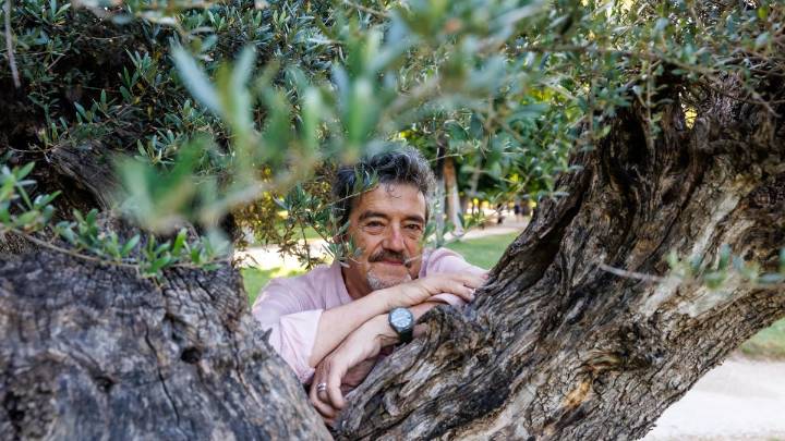 Rafael Fontán Barreiro, profesor de cultura clásica y estudioso del olivo: “Todo olivo tiene siete mil años”