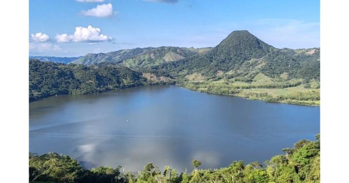 ICA confirma causa de la enfermedad y muerte en las tilapias en laguna de San Diego (Caldas)