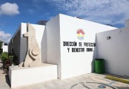 ‘Mal desempeño’: Remueven a titular de Bienestar Animal en Cancún