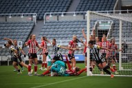 Newcastle's win over Sunderland keeps promotion in picture... now to find the right manager