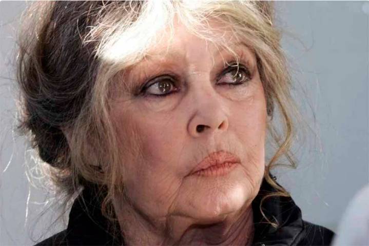Desmienten rumores sobre salud de icónica actriz Brigitte Bardot