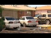 Tucson cat rescue founder faces charges for animal neglect