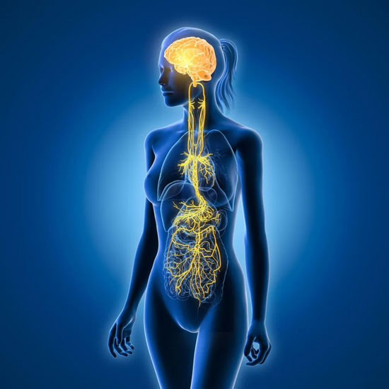 ‘Vagus Nerve Therapy’: Trendy wellness hack or truly transformative tool?