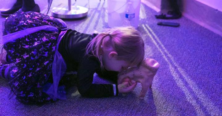 Fairbanks City Hall pulls out the skeletons for Halloween