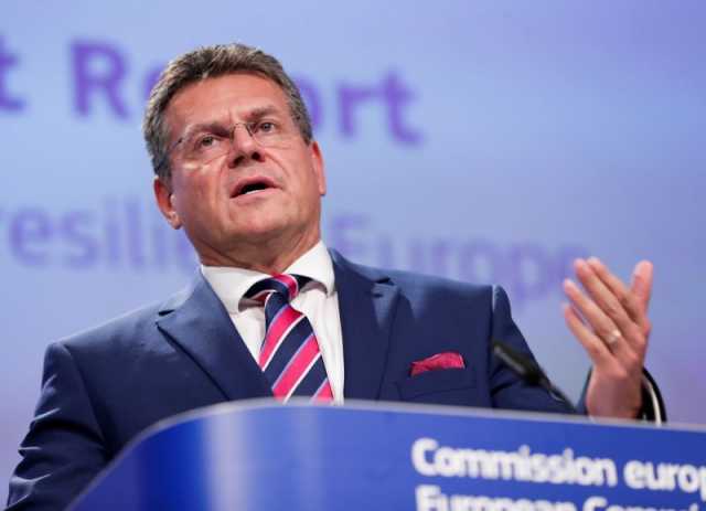 China's rare earth rules apply to EU