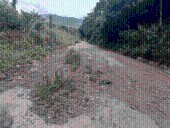 Voz Comunitaria | En el sector Las Peñas del municipio Bolívar solicitan solución a los problemas colectivos (+Fotos)